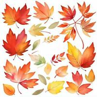 aquarelle tomber feuilles clipart photo