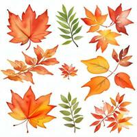 aquarelle tomber feuilles clipart photo