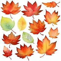 aquarelle tomber feuilles clipart photo