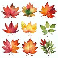 aquarelle tomber feuilles clipart photo