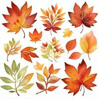 aquarelle tomber feuilles clipart photo