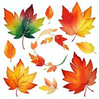 aquarelle tomber feuilles clipart photo