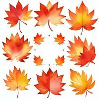 aquarelle tomber feuilles clipart photo