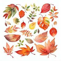 aquarelle tomber feuilles clipart photo