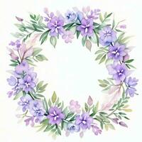 aquarelle lilas fleurs clipart photo