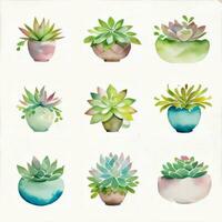 aquarelle plantes succulentes clipart photo