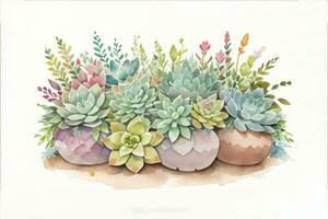 aquarelle plantes succulentes clipart photo