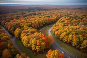 photo de le l'automne forêt drone vue