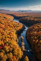 photo de le l'automne forêt drone vue