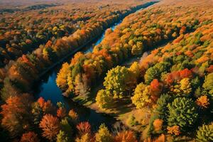 photo de le l'automne forêt drone vue