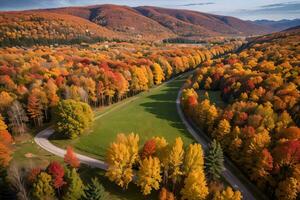 photo de le l'automne forêt drone vue