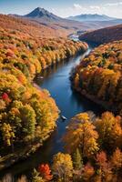 photo de le l'automne forêt drone vue