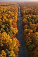 photo de le l'automne forêt drone vue