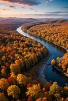 photo de le l'automne forêt drone vue