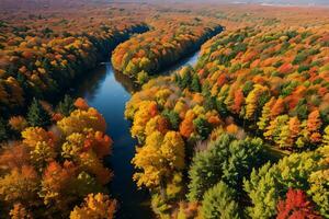 photo de le l'automne forêt drone vue