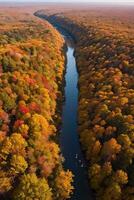 photo de le l'automne forêt drone vue