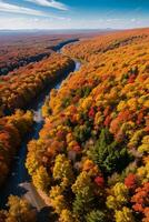 photo de le l'automne forêt drone vue