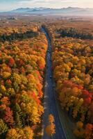 photo de le l'automne forêt drone vue