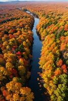 photo de le l'automne forêt drone vue