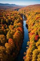 photo de le l'automne forêt drone vue