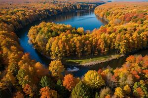 photo de le l'automne forêt drone vue