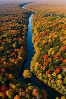 photo de le l'automne forêt drone vue