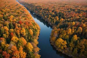 photo de le l'automne forêt drone vue