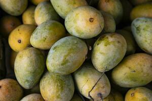 Frais des fruits mûr mangue affiché pour vente dans le marché de bangladesh photo