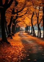 l'automne feuilles Orange tranquillité la grâce paysage Zen harmonie calme unité harmonie la photographie photo