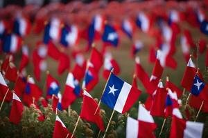 le drapeaux de Chili sont affiché dans une champ. généré par ai photo
