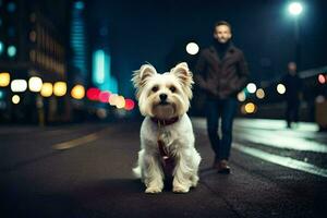 une blanc chien est permanent sur le rue à nuit. généré par ai photo