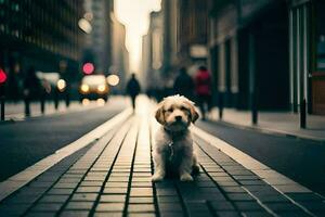 une chien séance sur le rue dans une ville. généré par ai photo