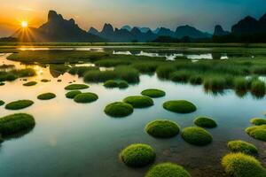 le Soleil ensembles plus de une marécageux zone avec vert les plantes. généré par ai photo