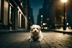 une petit chien séance sur le rue à nuit. généré par ai photo
