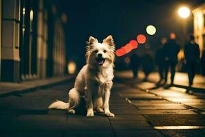 une blanc chien séance sur le rue à nuit. généré par ai photo