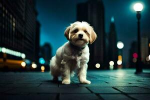 une petit chien permanent sur une rue à nuit. généré par ai photo
