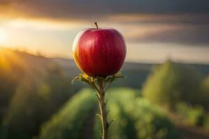 un Pomme est séance sur une tige dans de face de une le coucher du soleil. généré par ai photo