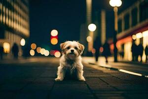 une petit chien séance sur le trottoir à nuit. généré par ai photo