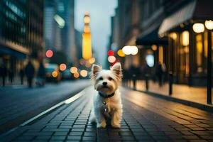 une petit blanc chien permanent sur une brique route. généré par ai photo