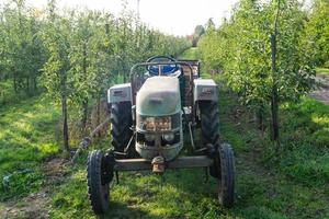 récolte de pommes dans le vieux pays hambourg photo