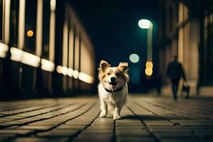 une chien en marchant vers le bas une rue à nuit. généré par ai photo