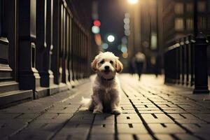 une chien séance sur le trottoir à nuit. généré par ai photo