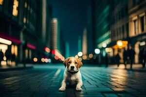 une chien séance sur le rue à nuit. généré par ai photo