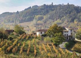vignobles et campagne de l'arrière-pays du piémont, italie photo
