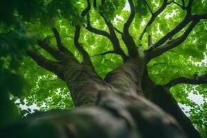 une arbre dans le forêt. généré par ai photo