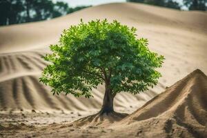 une arbre croissance dans le désert. généré par ai photo