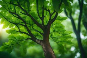 une arbre avec vert feuilles dans le lumière du soleil. généré par ai photo