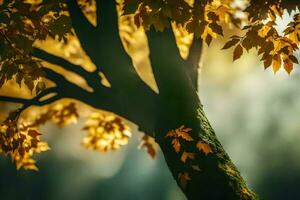 photo fond d'écran feuilles, le soleil, le des arbres, le feuilles, le des arbres, le feuilles,. généré par ai