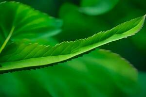 une proche en haut de une feuille avec vert feuilles. généré par ai photo