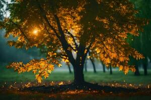 photo fond d'écran le ciel, des arbres, l'automne, le soleil, lumière, arbre, l'automne, le. généré par ai